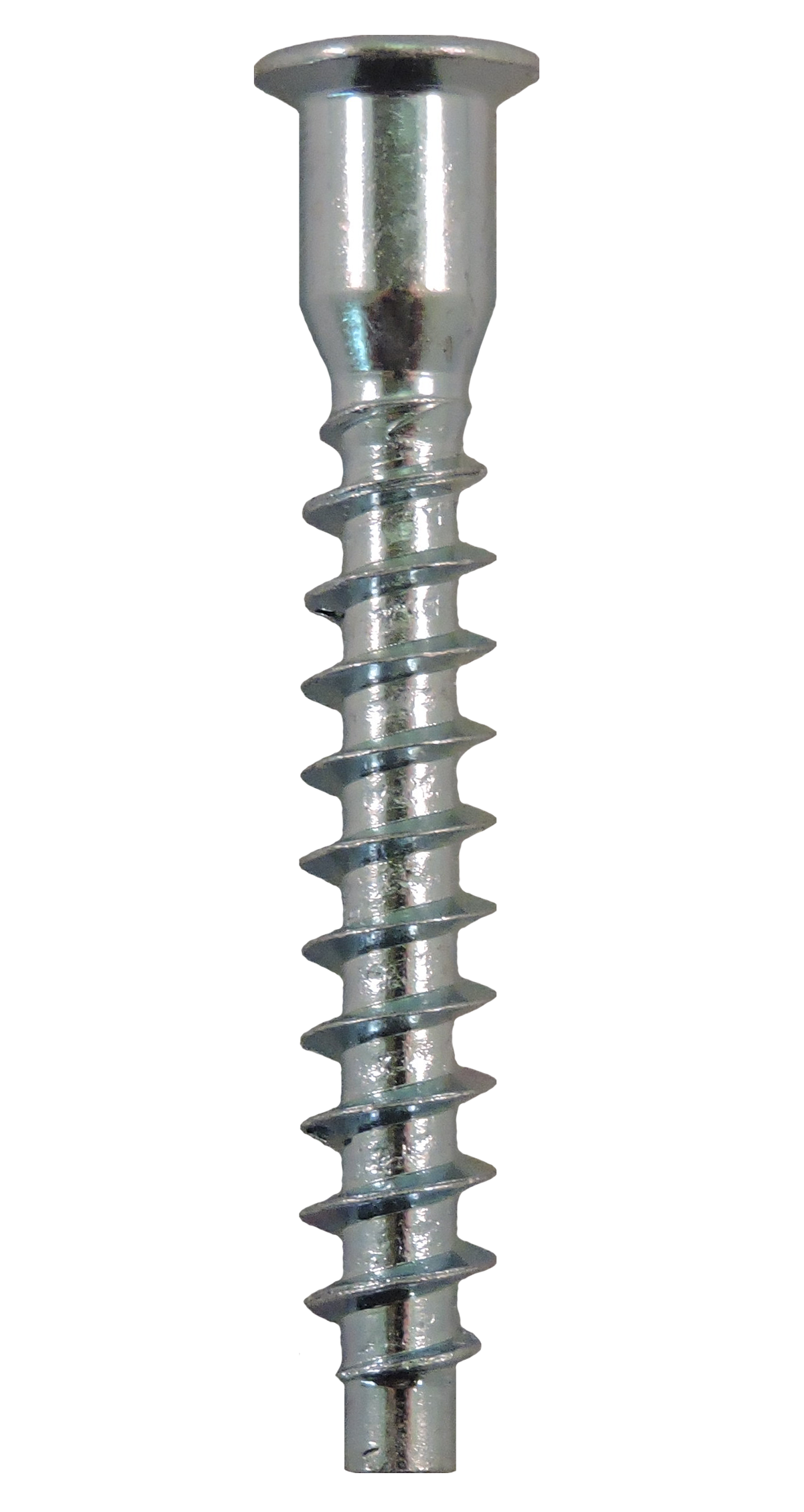 Confirmat Type Screw  